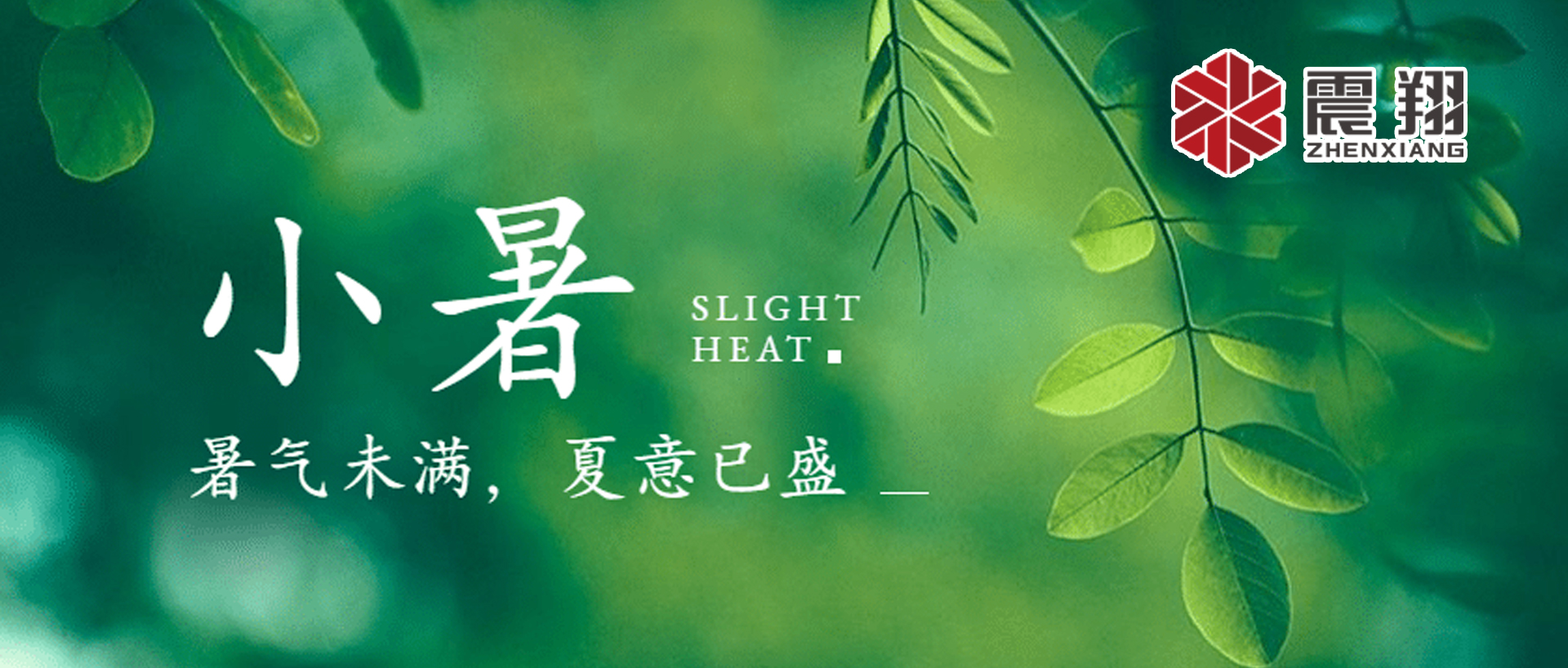 小暑| 標志著夏季的正式開始，也是一年中最熱的時候之一