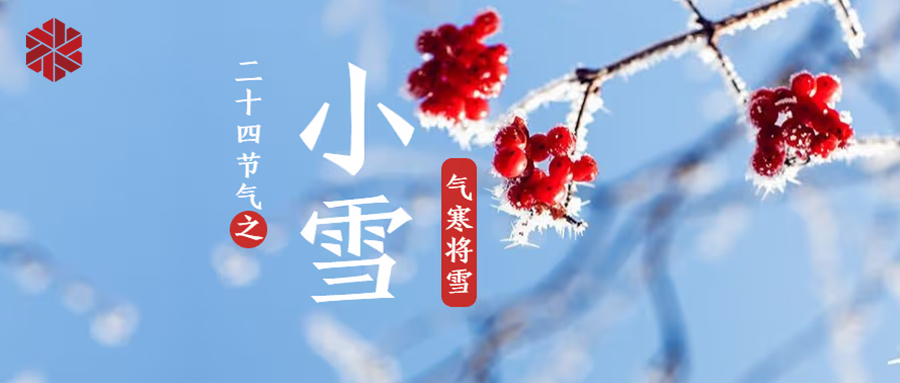 小雪 | 地寒未甚，氣寒將雪